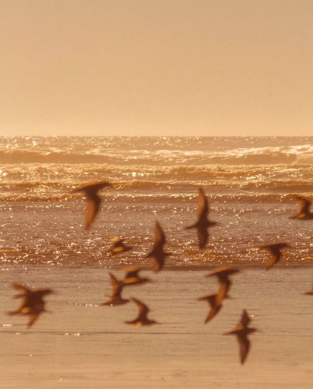 Inspiración Di Mare